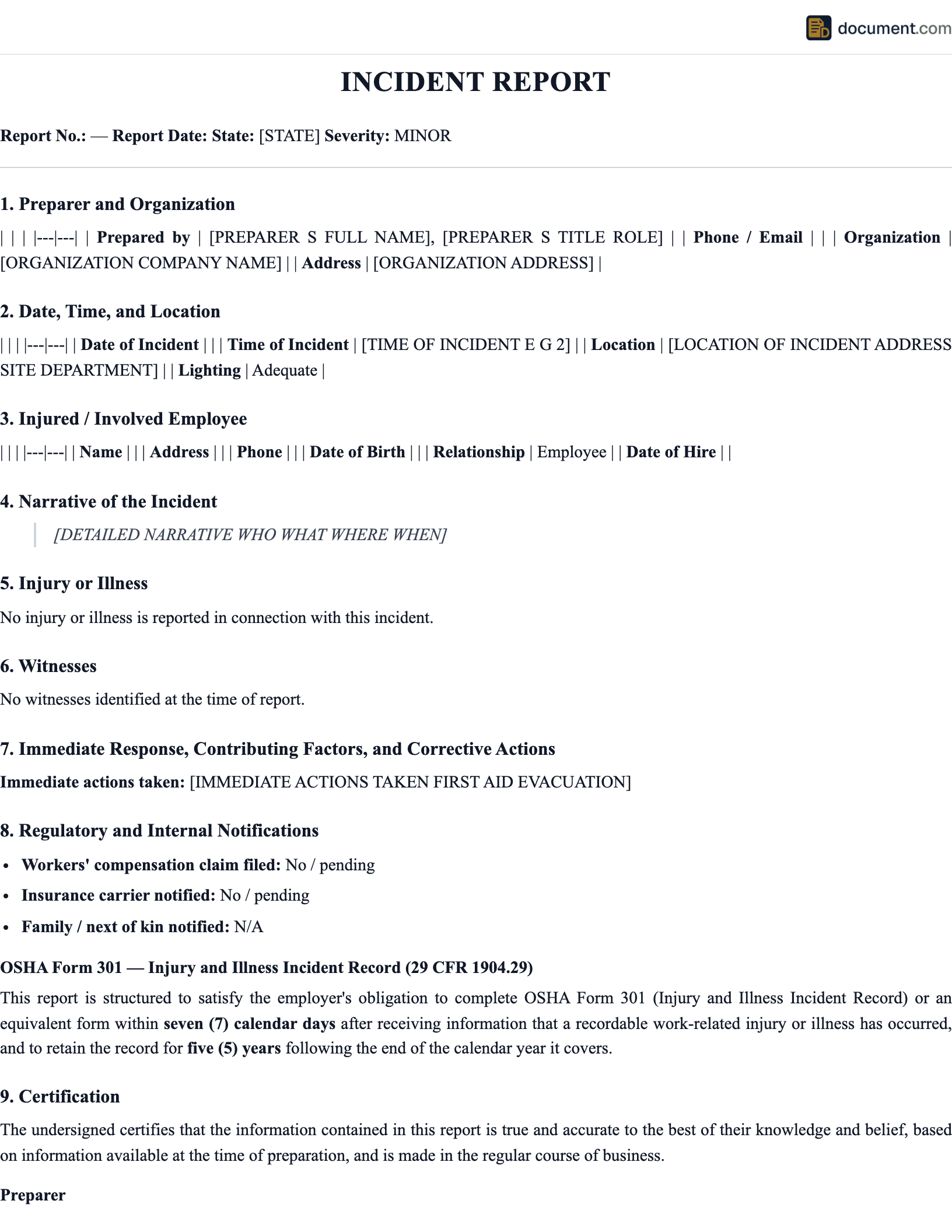 Accident Incident Report preview